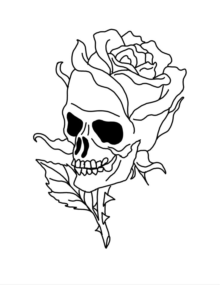 5 Stunning Skull and Rose Tattoo Outline Ideas