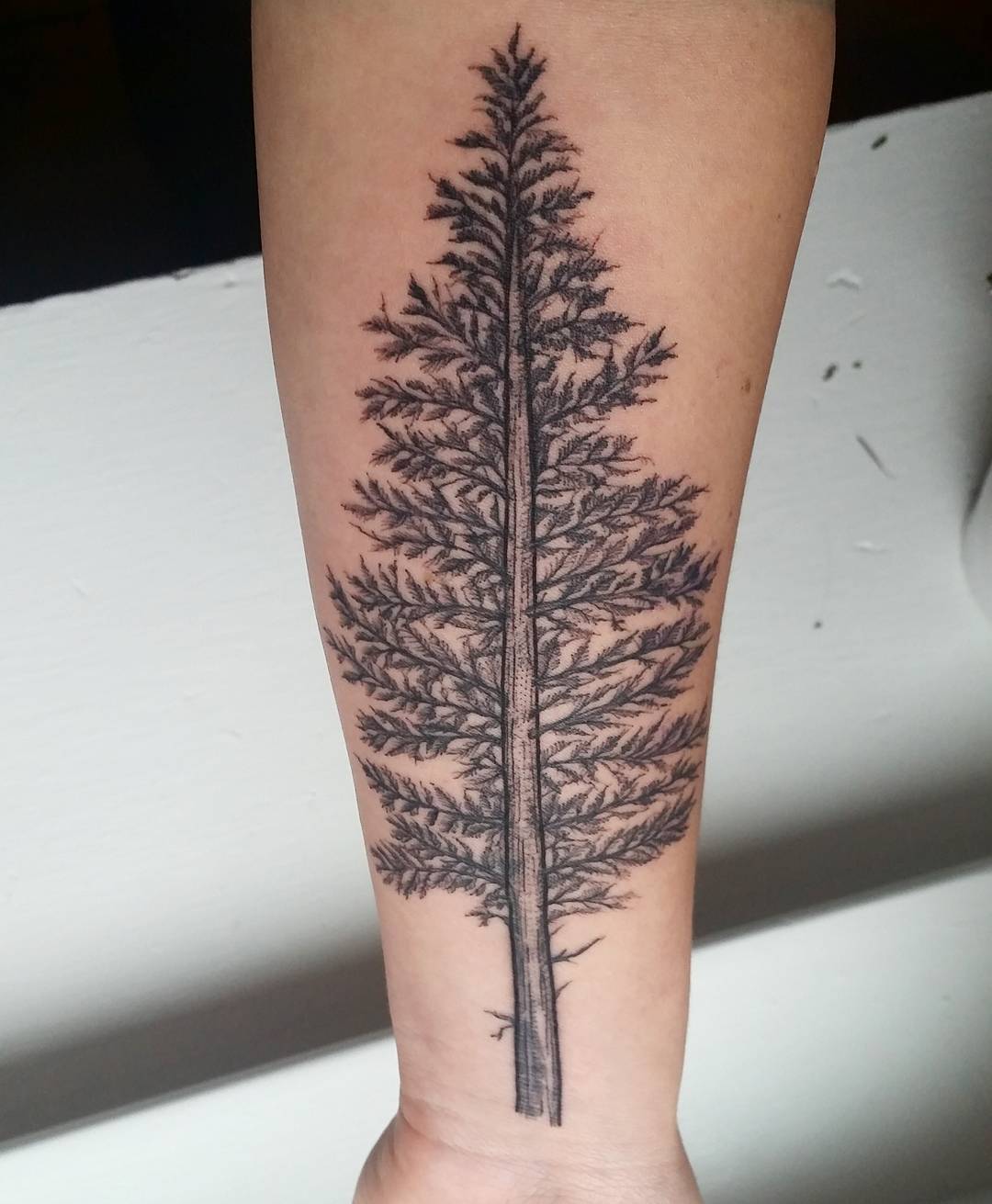 5 Meaningful Small Pine Tree Tattoo Ideas