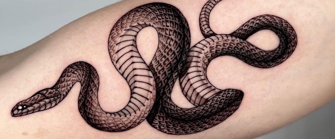 Snake Tattoo Meaning And Design Ideas Tatring