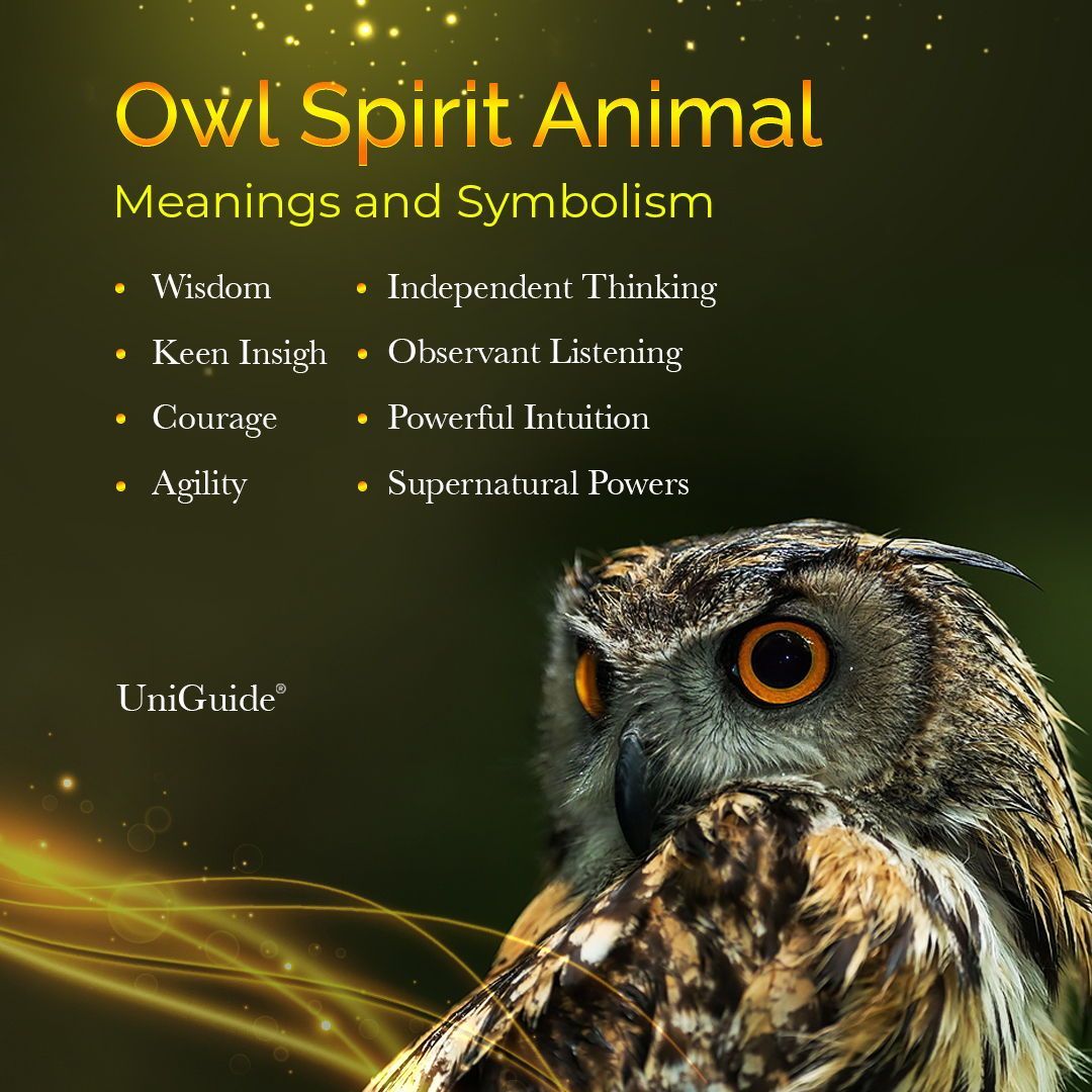 Symbolic Owl Tattoo Meaning On Whats Your Sign