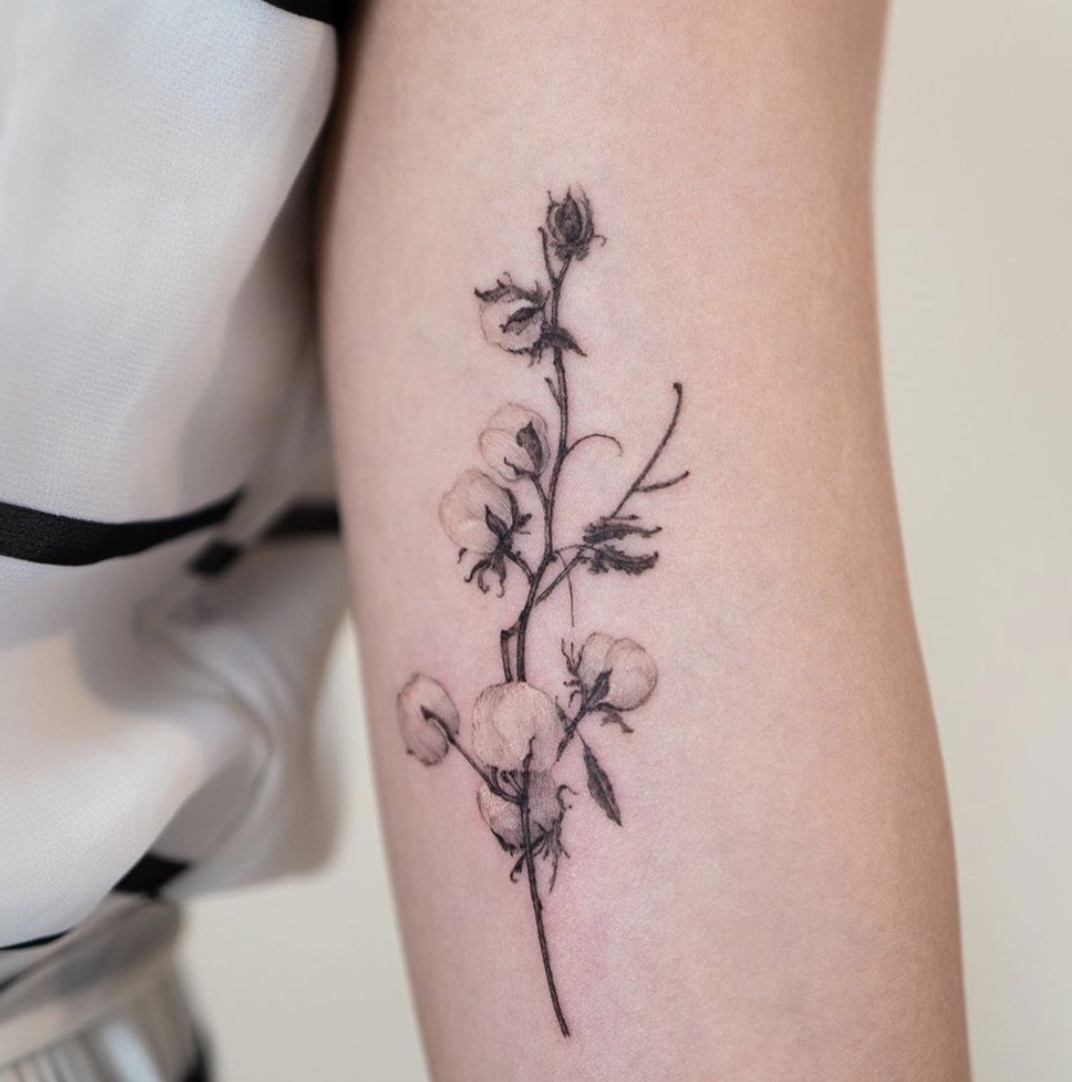 Tatoo Flowers Birth Flower Tattoos Dainty Flower Tattoos Flowers To