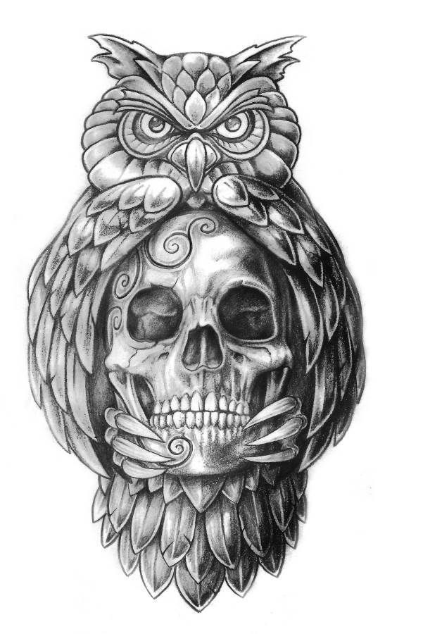 Tattoo Drawing Owl And Skull Design Tattoo Skull Tattoo Design