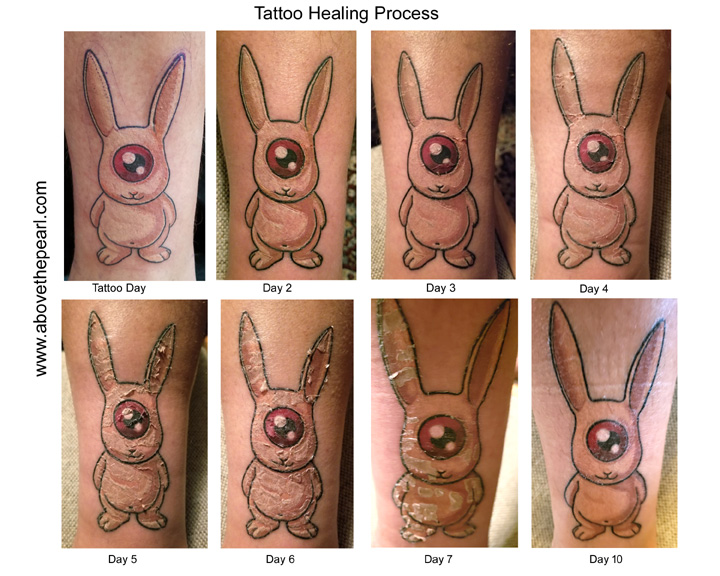 Tattoo Healing Process Above The Pearl Tattoo Studio