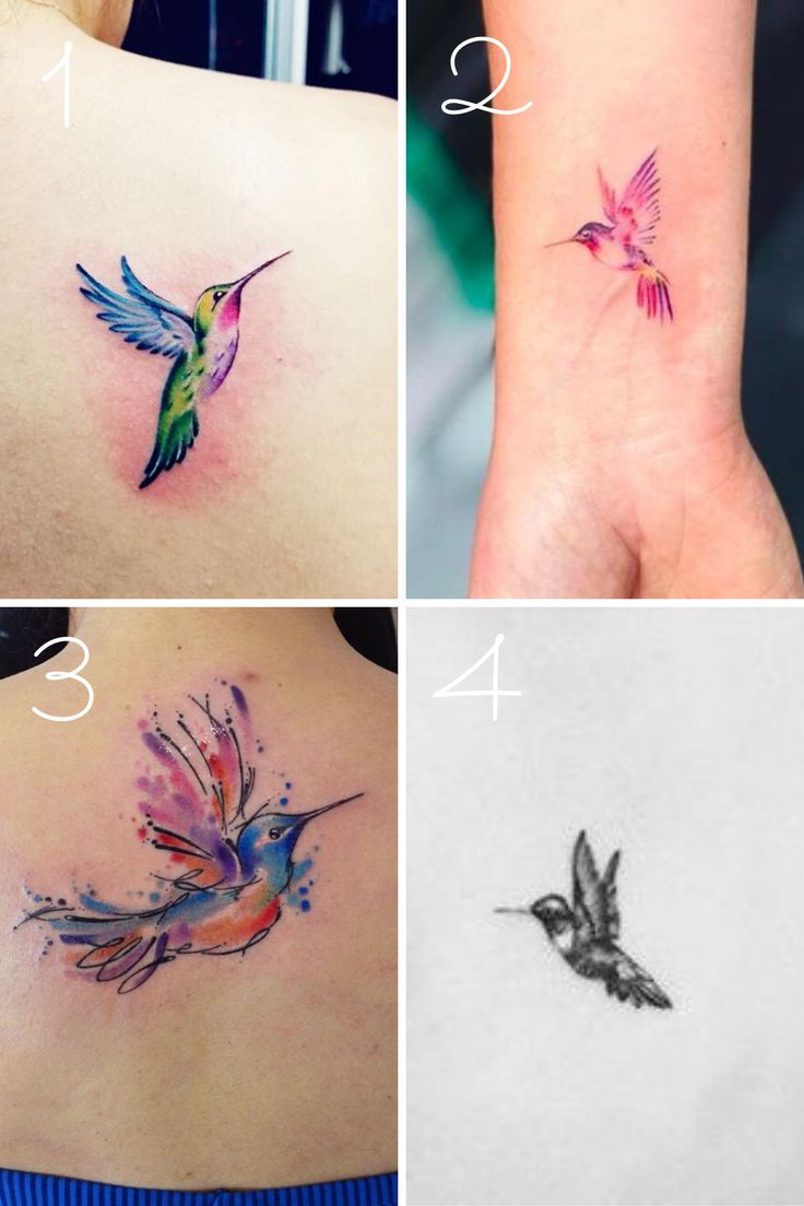 Hummingbird and Butterfly Tattoos: Symbolism and Style Guide