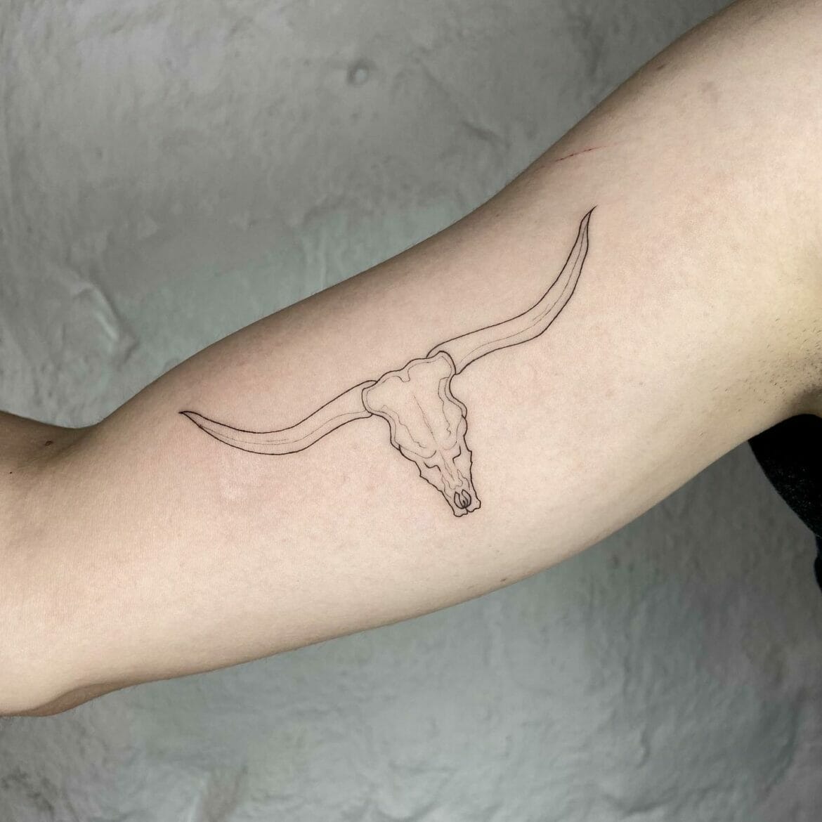 Texas Longhorn Skull Tattoo Longhorn Cow Longhorn Skull Small Tattoos