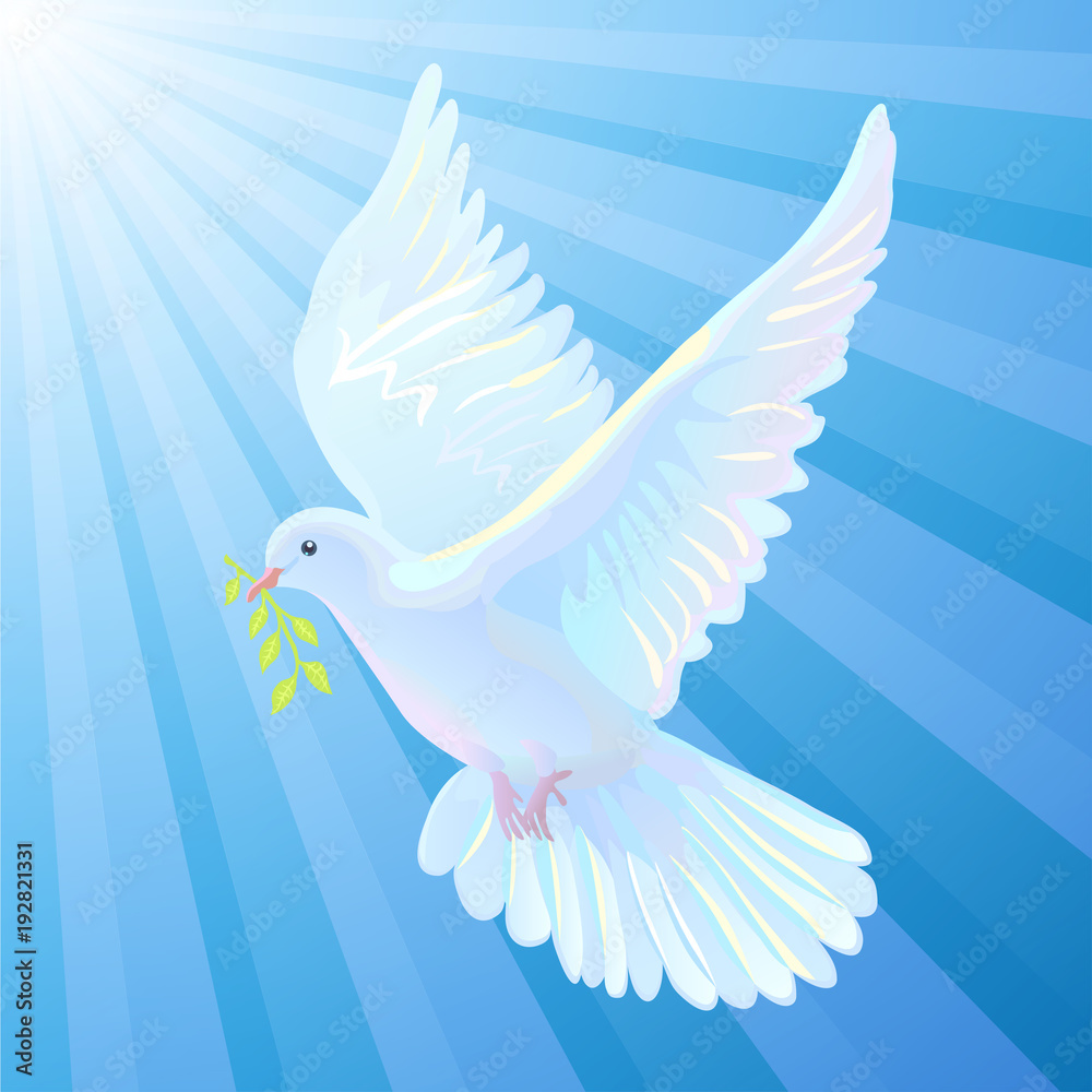 The White Dove Has Been A Symbol Of Peace And Tranquility For Centuries