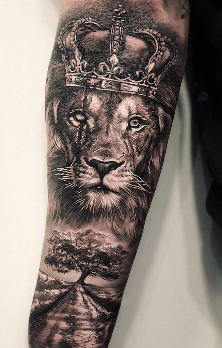 Top 12 Lion Half Sleeve Tattoo Designs Half Sleeve Tattoos Designs