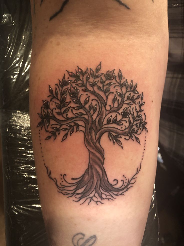 Tree Of Life Family Tree Tattoo Tree Of Life Tattoo Tree Tattoo