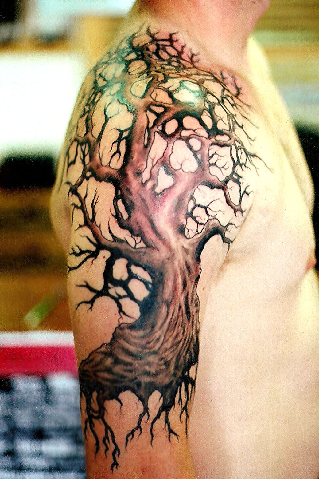 Tree Tattoos For Men Designs Ideas And Meaning Tattoos For You