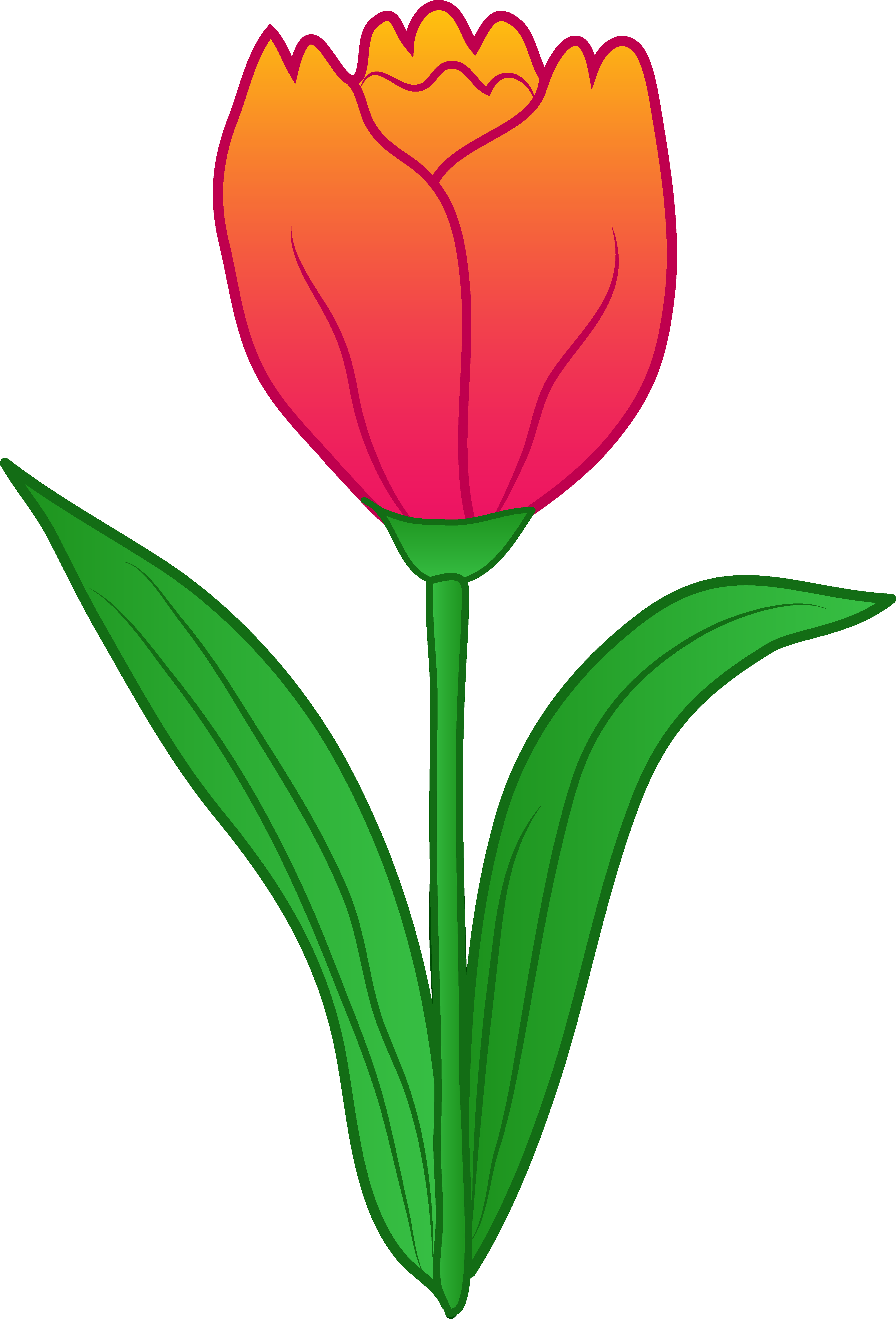 Tulip Outline Clipart Best