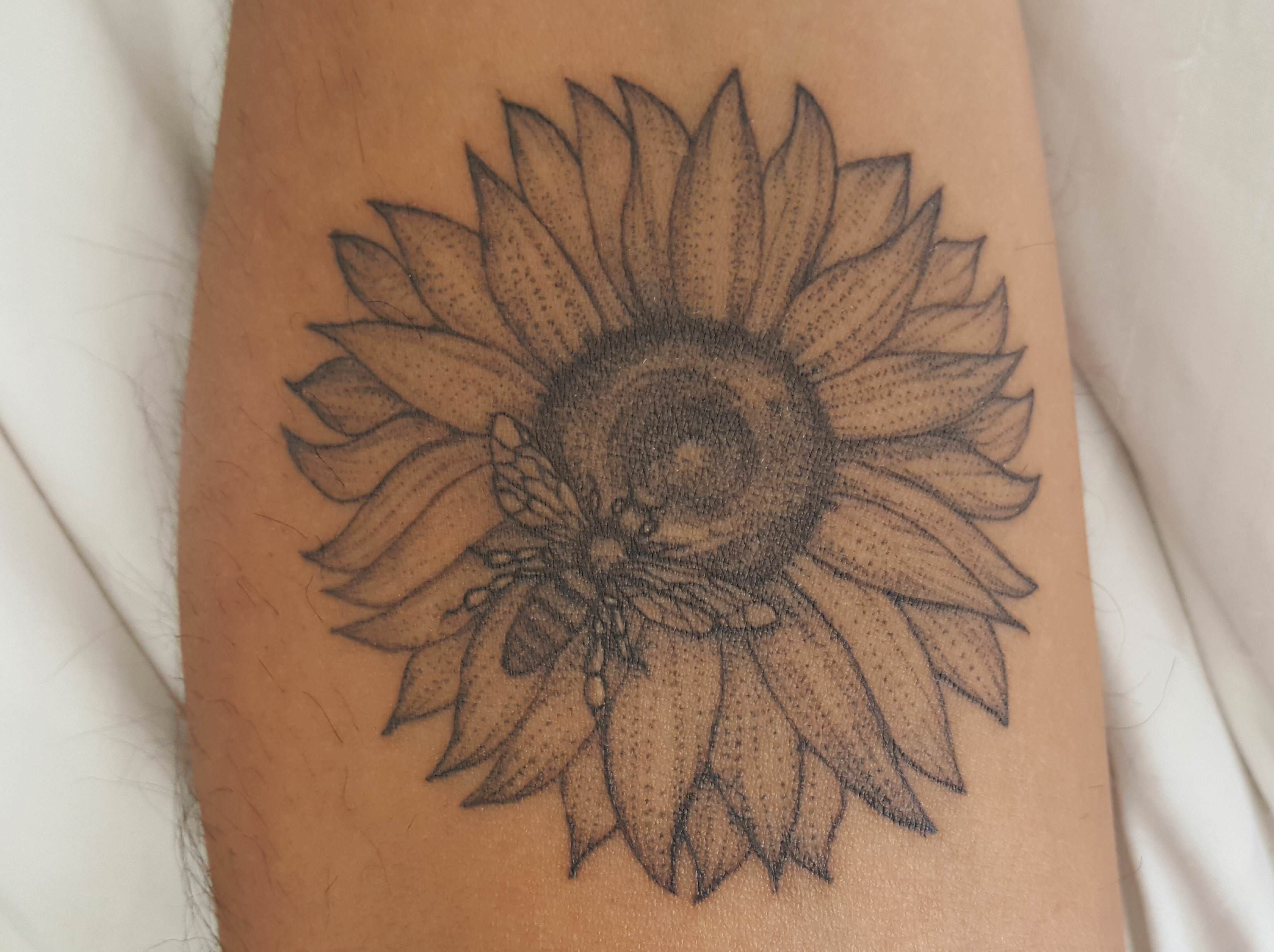 Turning 43 My Sunflower And Bee For My Wife And Me By Eugene Andriu