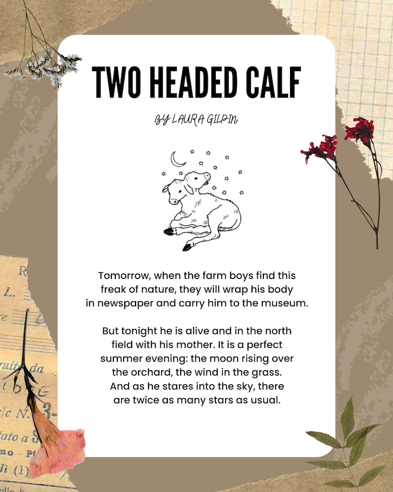 Two Headed Calf By Laura Gilpin Illustrated Poem Print Etsy Uk