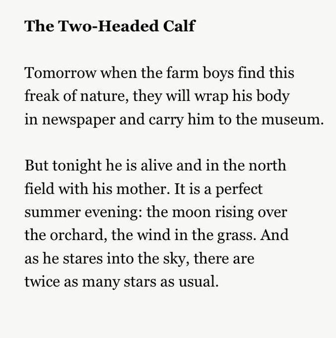 Two-Headed Calf Poem: Discover Its Deep Meaning