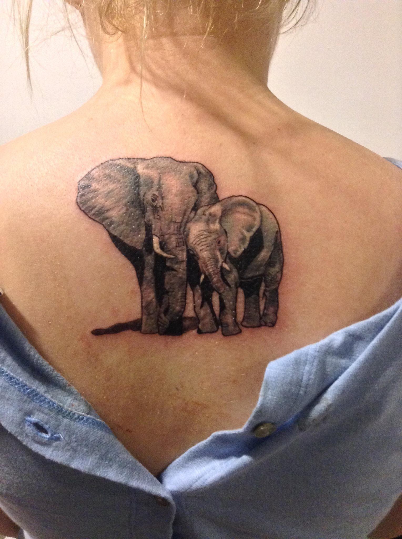 Two Weeks Healed Mother Son Elephant Tattoo Tatuajes Bebe Tatuaje