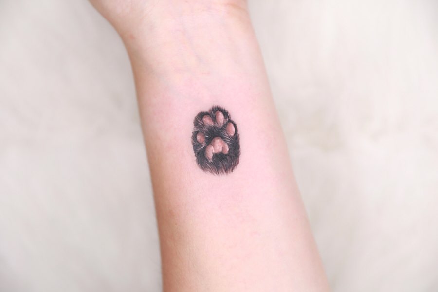 Update More Than 52 Cat Paw Print Tattoo Ideas Best In Cdgdbentre