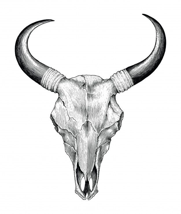 7 Tips for a Perfect Vintage Cow Skull Tattoo