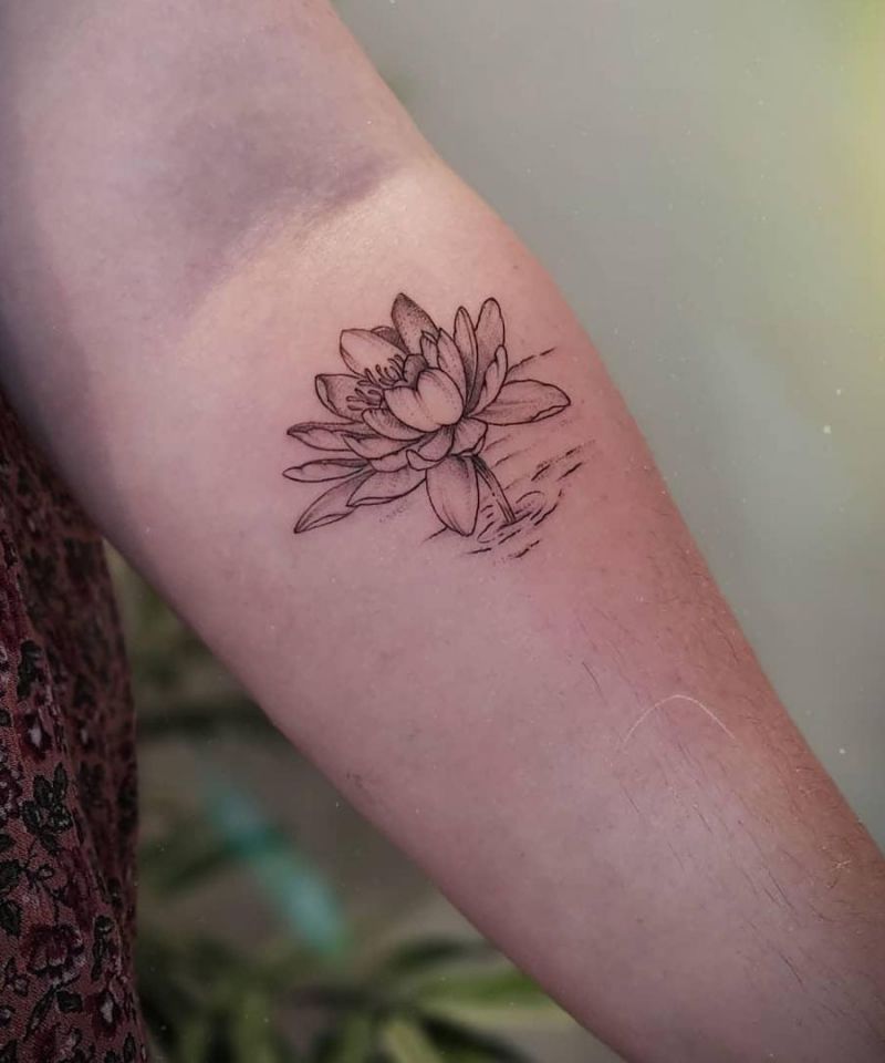 Water Lily Tattoo Ideas Designs And The Meaning