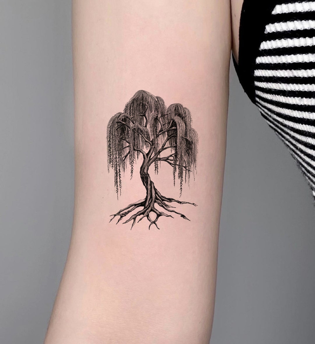 Willow Tree Tattoo By Aluc23 On Deviantart Willow Tree Tattoos Tree