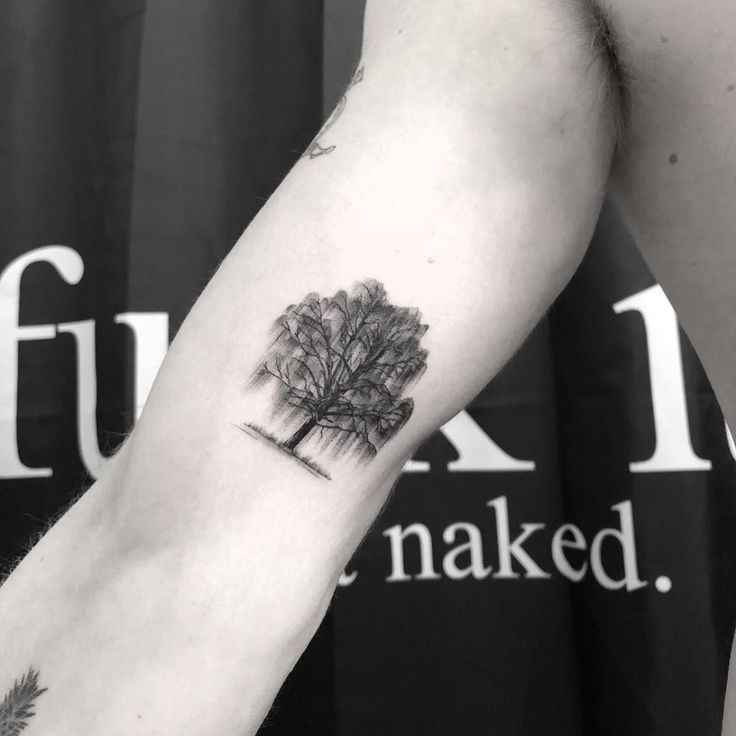 Willow Tree Tattoo Meaning A Symbolic Expression Of Nature Amp 39 S Resilience And Grace